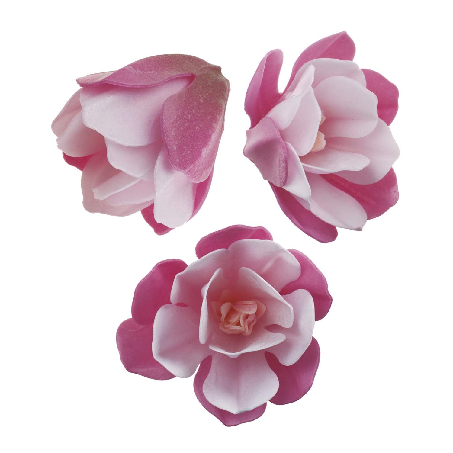 Dekora Edible Pink Magnolia Flowers for Cake Decoration - 6 Pack