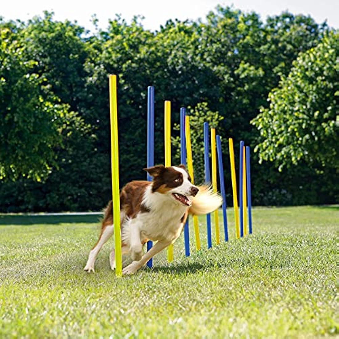 Pet Prime Dog Agility Weave Pole Set – 12 Piece Outdoor Training Kit