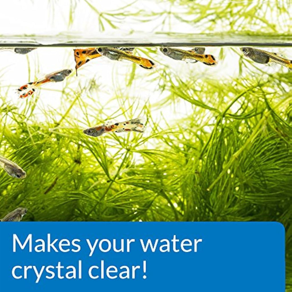 API Accu-Clear Freshwater Aquarium Water Clarifier - 37 ml Bottle