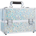 Frenessa 6-Tray Makeup Train Case | Silver Aluminum Cosmetic Storage Box