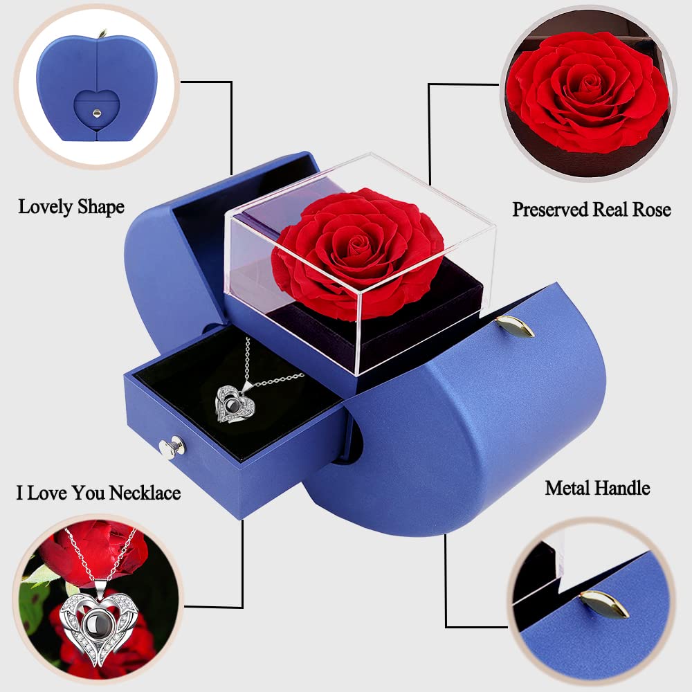 Firestyle Preserved Real Rose Gift Box with 100 Languages Love Necklace