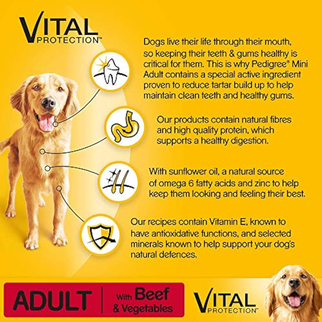 Pedigree Dry Dog Food with Beef and Vegetables - 2.6kg Bag