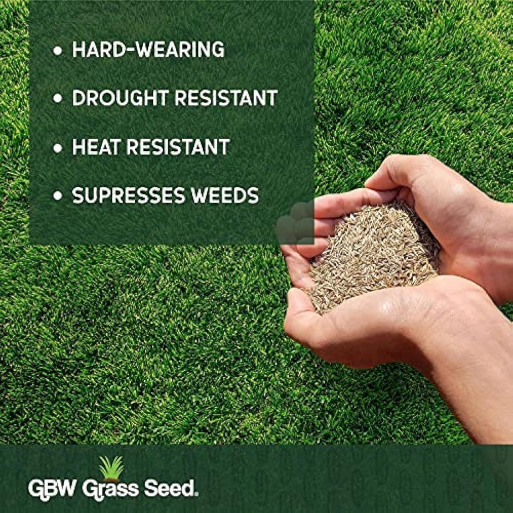 GBW Grass Seed 1kg | Hard Wearing & Fast Growing UK Lawn Seed Mix