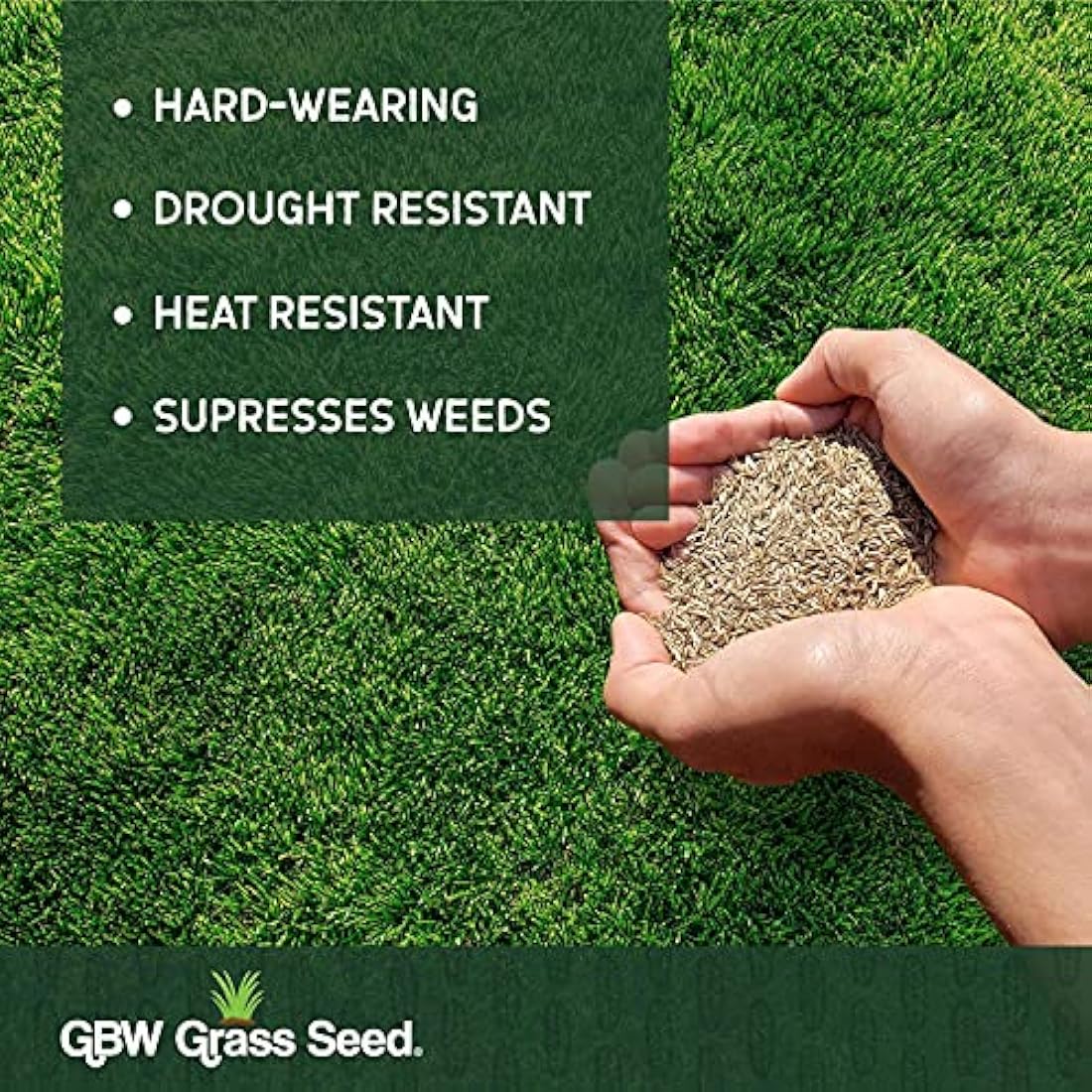 GBW Grass Seed 1kg | Hard Wearing & Fast Growing UK Lawn Seed Mix