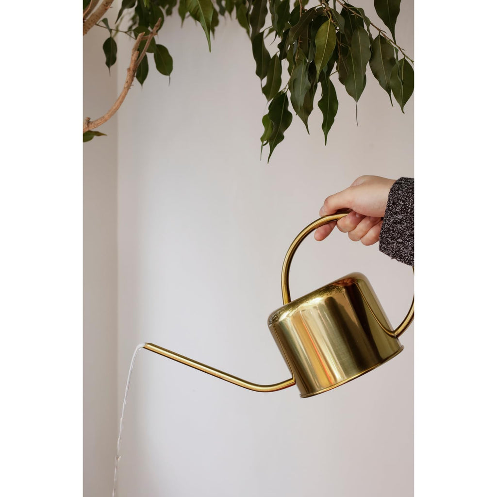 Kikkerland Vintage Gold Watering Can – Indoor Houseplant Garden Decor