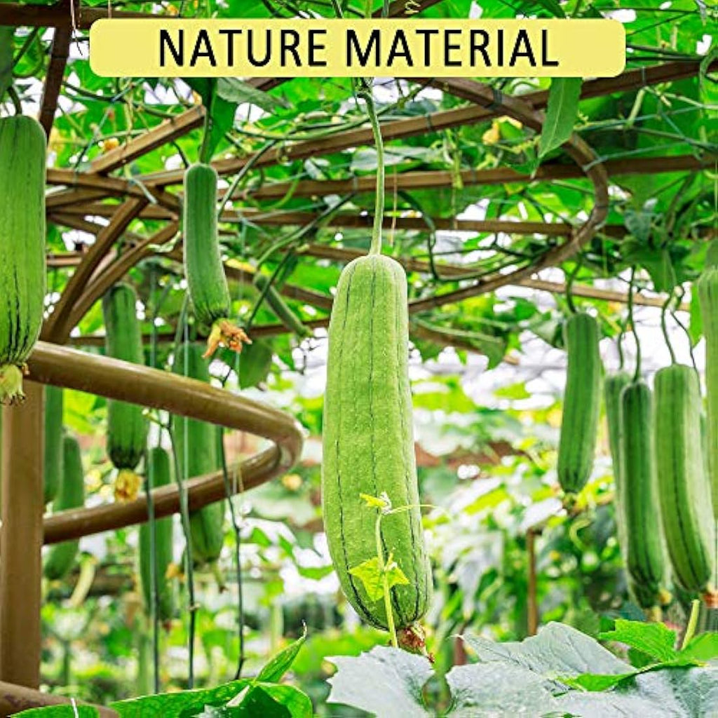 Natural Organic Loofah Sponge - 8pcs Biodegradable Scrubber