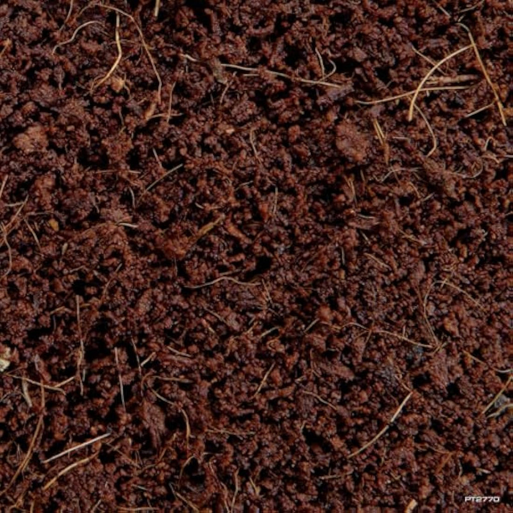 Exo Terra Plantation Soil - Natural Terrarium Substrate, 8.8 Litre