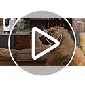 Tapo C225 2K QHD Indoor Security Camera | 360° Pan/Tilt AI Tracking