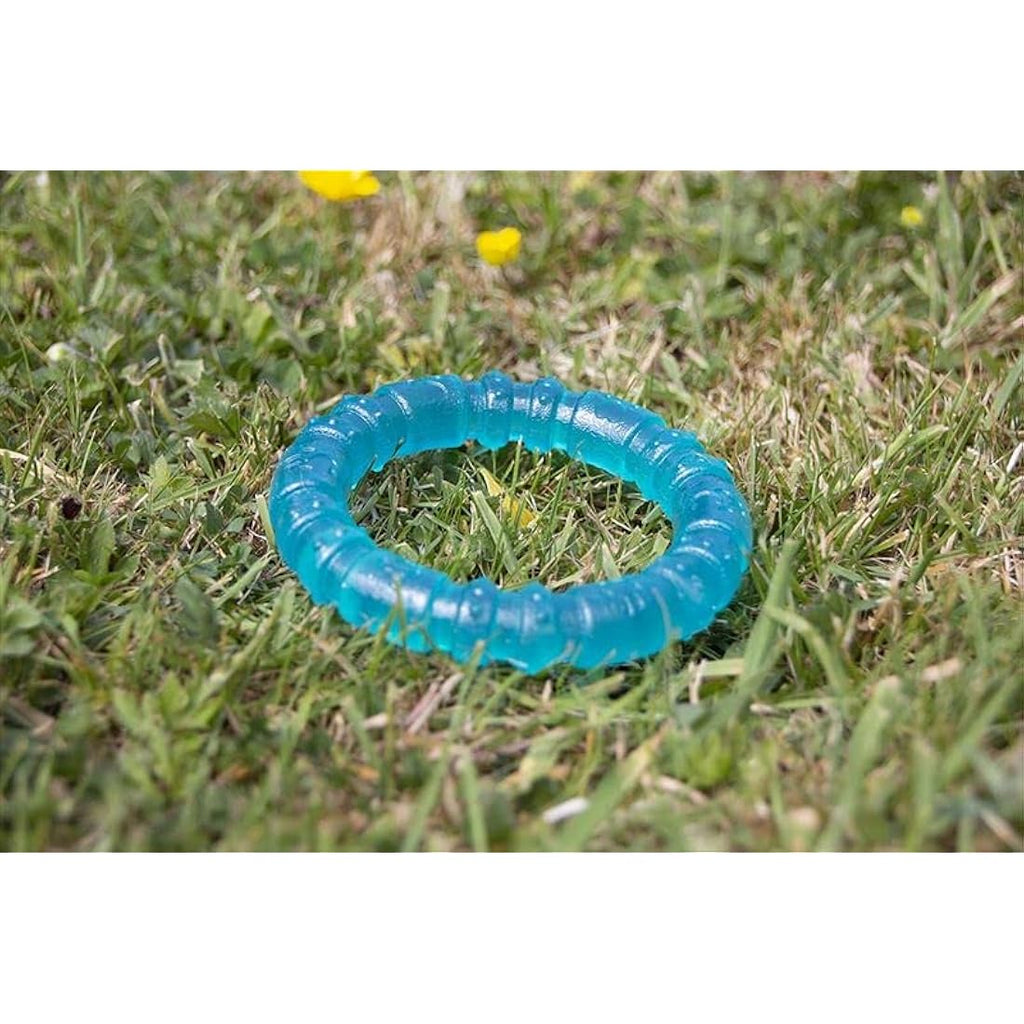 Rosewood BioSafe Puppy Ring – Antimicrobial Teething Chew Toy, Blue