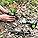 WORKPRO Garden Auger Drill Bit Set | 2-Piece Manganese Steel Hole Digger