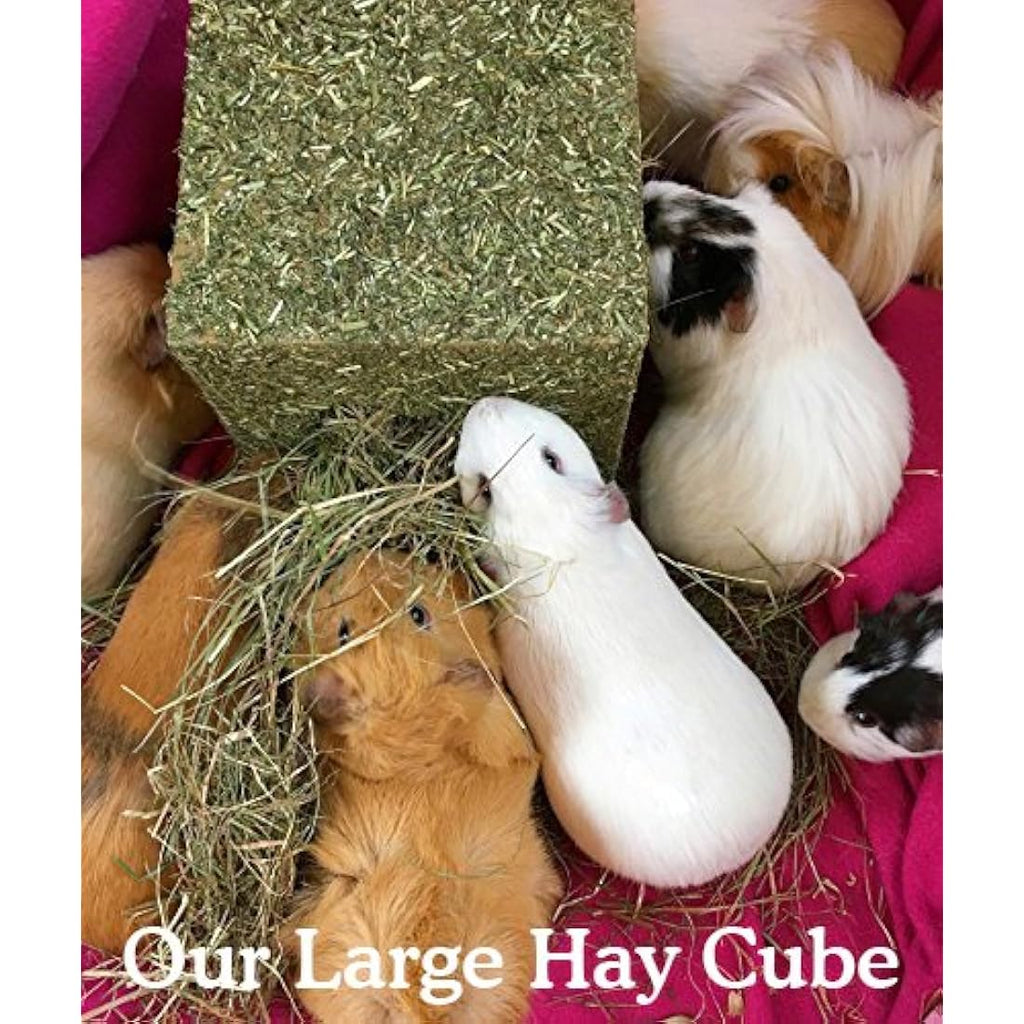 Rosewood Naturals Meadow Hay Forage Cube – Large Small Animal Chew Toy