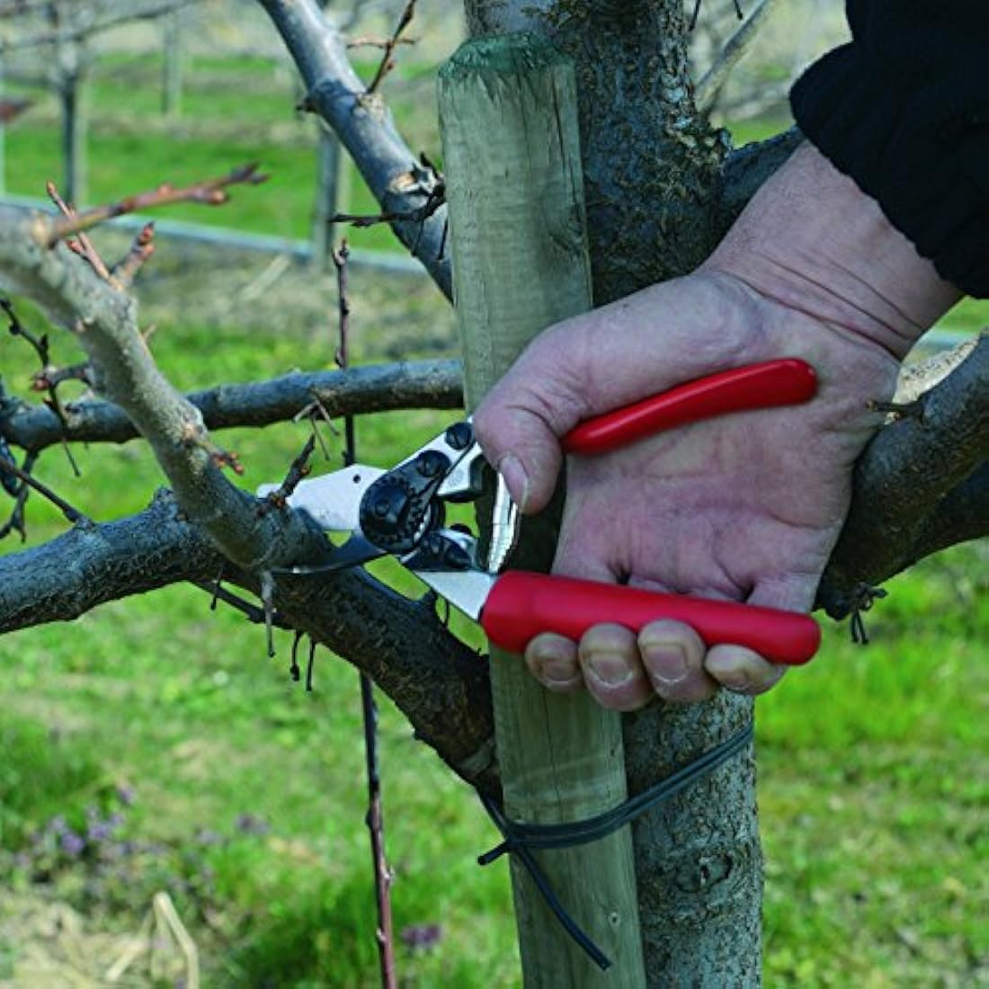 Felco Model 6 Compact Secateurs – Hardened Steel Pruning Shears