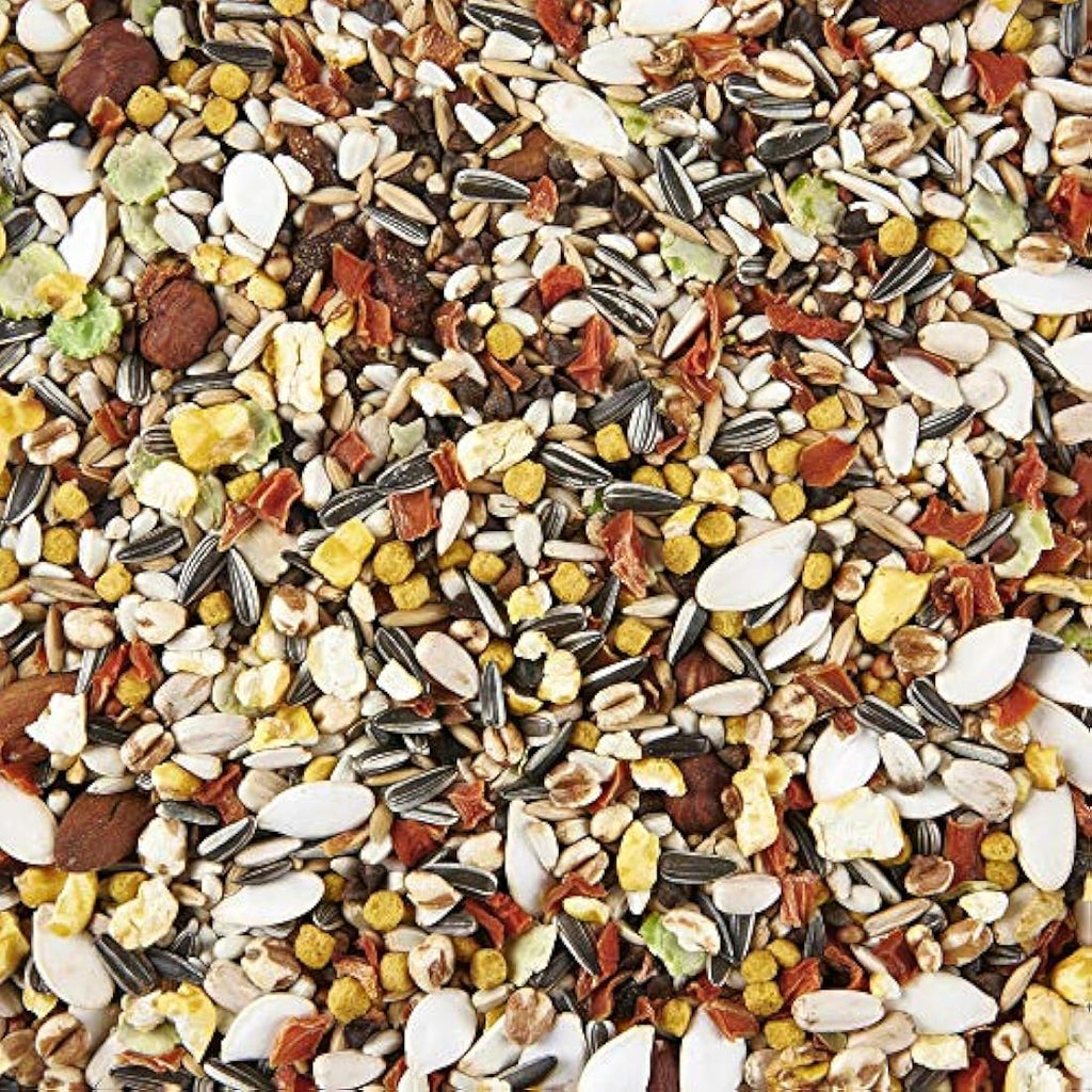 Parrot Food Premium Seed Mix for African Greys - 5L Tub