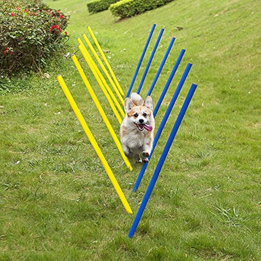 Pet Prime Dog Agility Weave Pole Set – 12 Piece Outdoor Training Kit