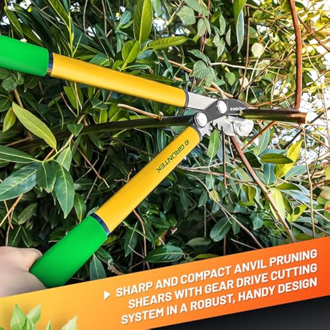 Grüntek Grizzly Anvil Pruning Loppers – 470mm Gear Drive Garden Shears