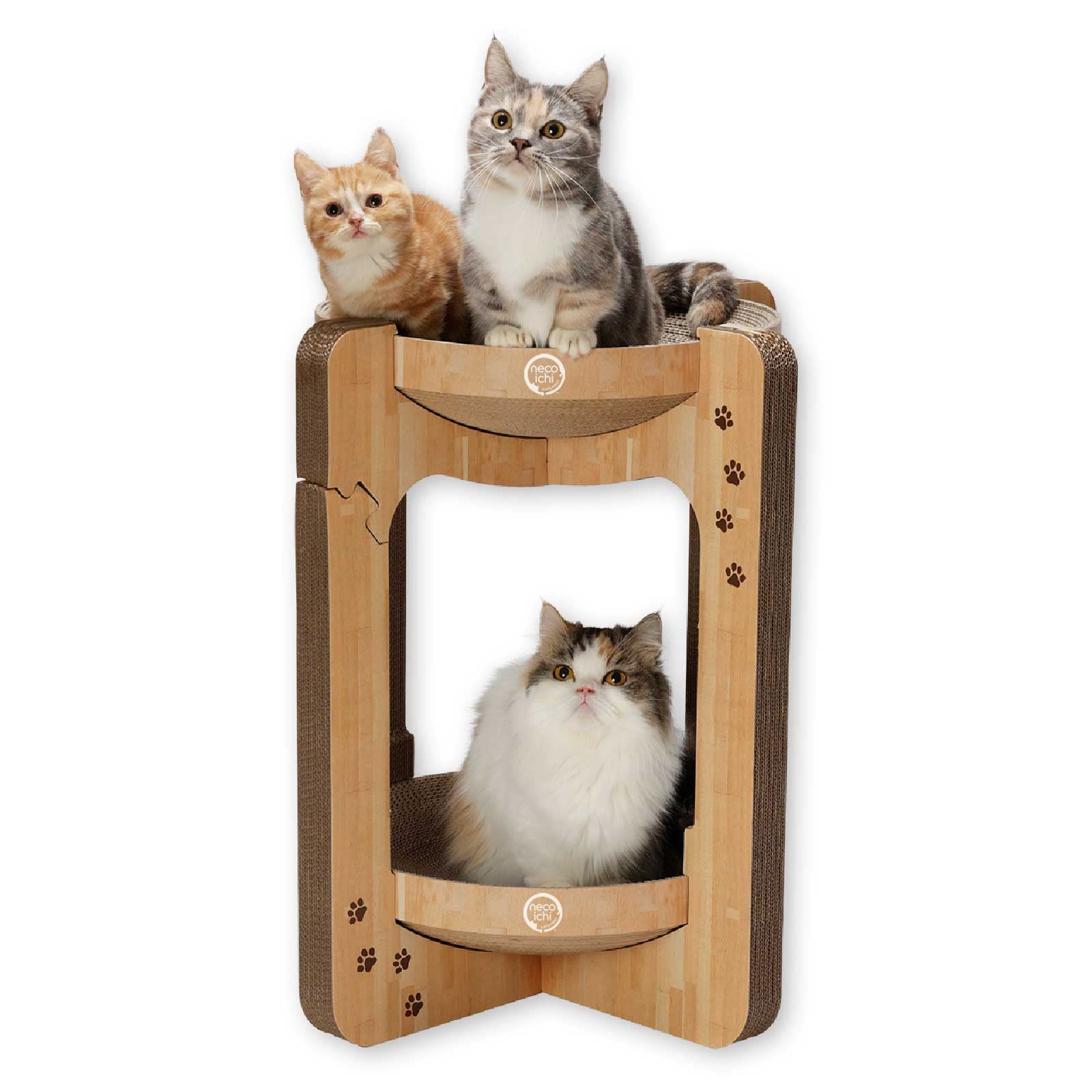 Necoichi Cozy Cat Scratcher Tower | Recycled Paper Bowl Bed | Oak, XL
