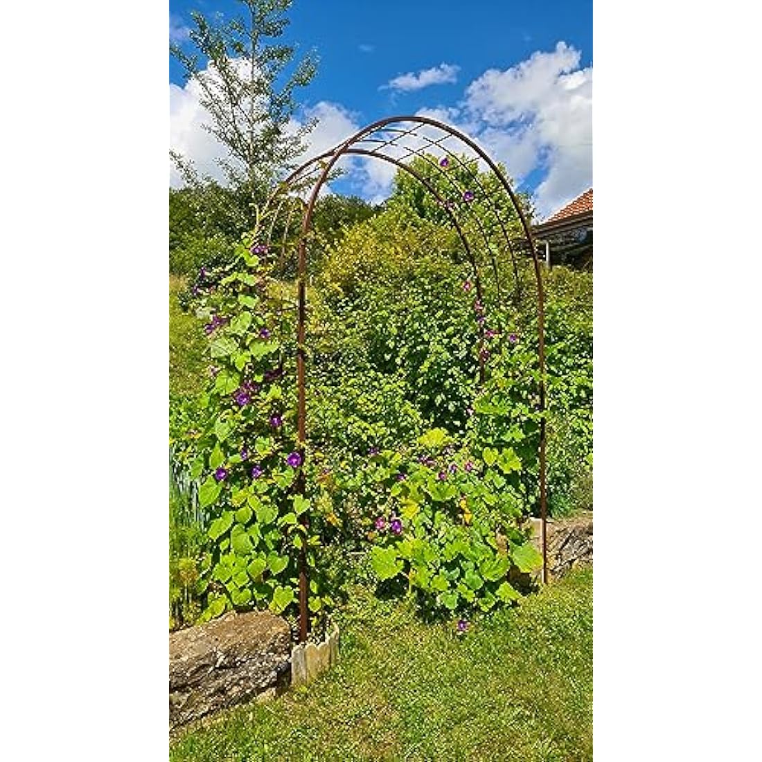 Louis Mill Metal Garden Arch for Climbing Plants - Antique Iron