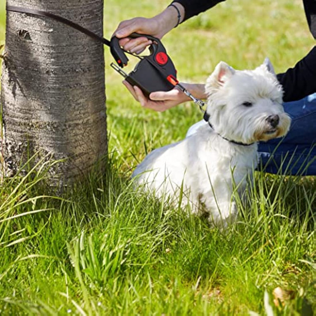 5m Retractable Dog Lead with Car Seatbelt Buckle