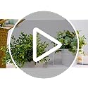 Jolof Store Mini Artificial Potted Plants – Set of 3 Faux Eucalyptus
