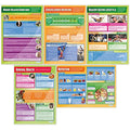 Health & Fitness PE Posters | Set of 5 Laminated A1 Classroom Charts