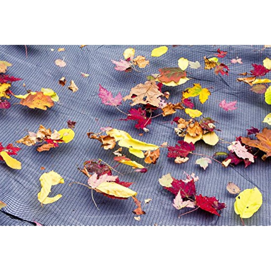 Robelle 24-ft Round Leaf Net for Above Ground Pool Covers | 27-ft Net