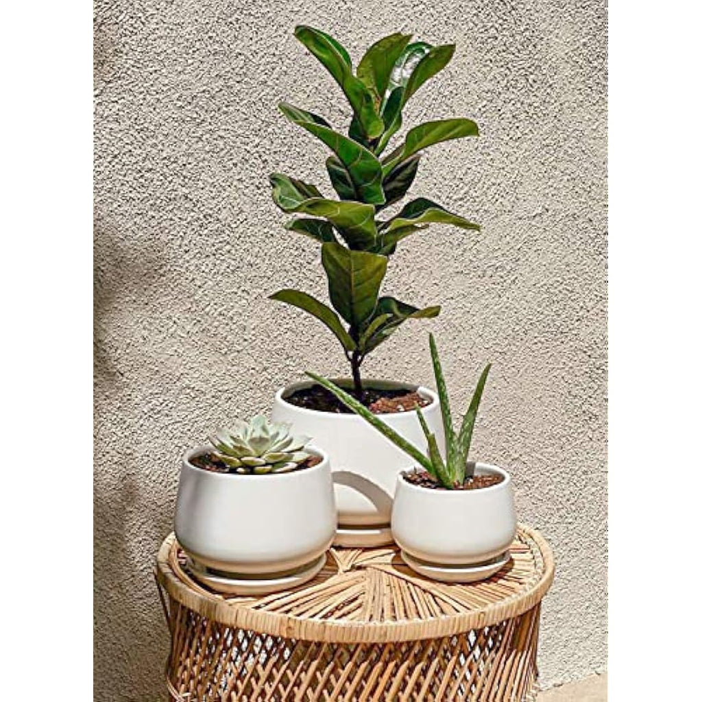 LE TAUCI Ceramic Plant Pots - Set of 3 Modern Indoor Planters, White