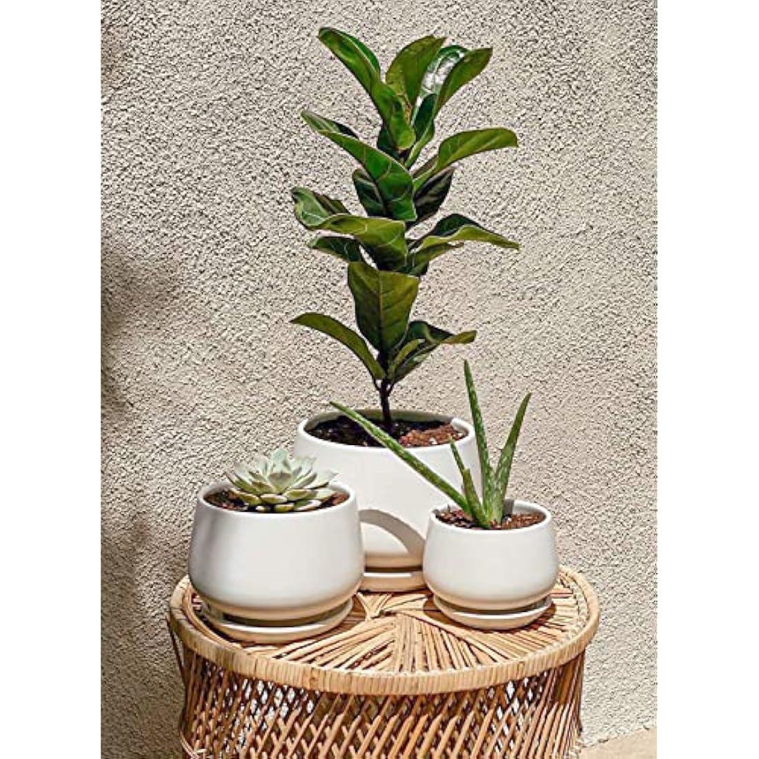 LE TAUCI Ceramic Plant Pots - Set of 3 Modern Indoor Planters, White