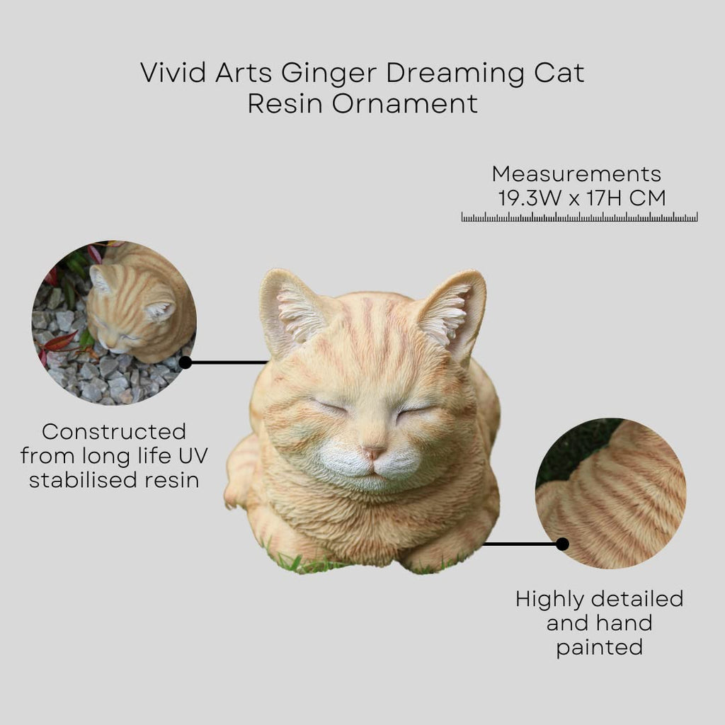 Vivid Arts Ginger Dreaming Cat Resin Ornament | Indoor Outdoor Decor
