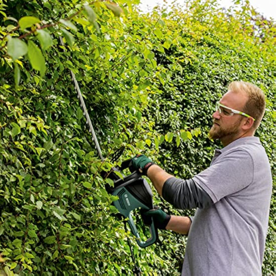 Bosch UniversalHedgeCut 60 Electric Hedge Trimmer - 480W, 60cm Blade