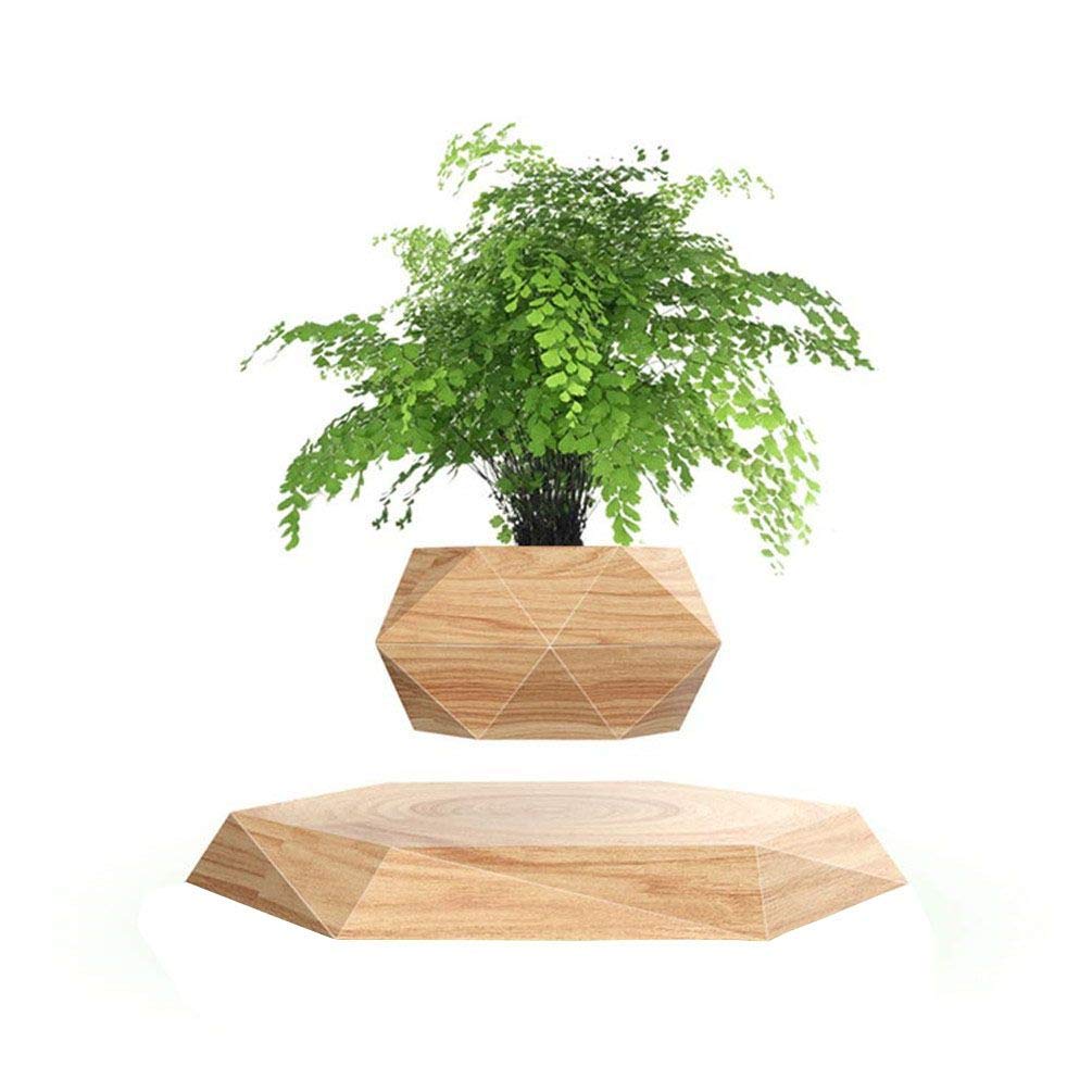 Jolof Store Magnetic Levitation Floating Air Bonsai Pot for Desk Decor