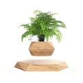 Jolof Store Magnetic Levitation Floating Air Bonsai Pot for Desk Decor