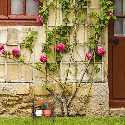 Relaxdays Mini Flower Bench – Rustic Wood & Cast Iron Plant Stand
