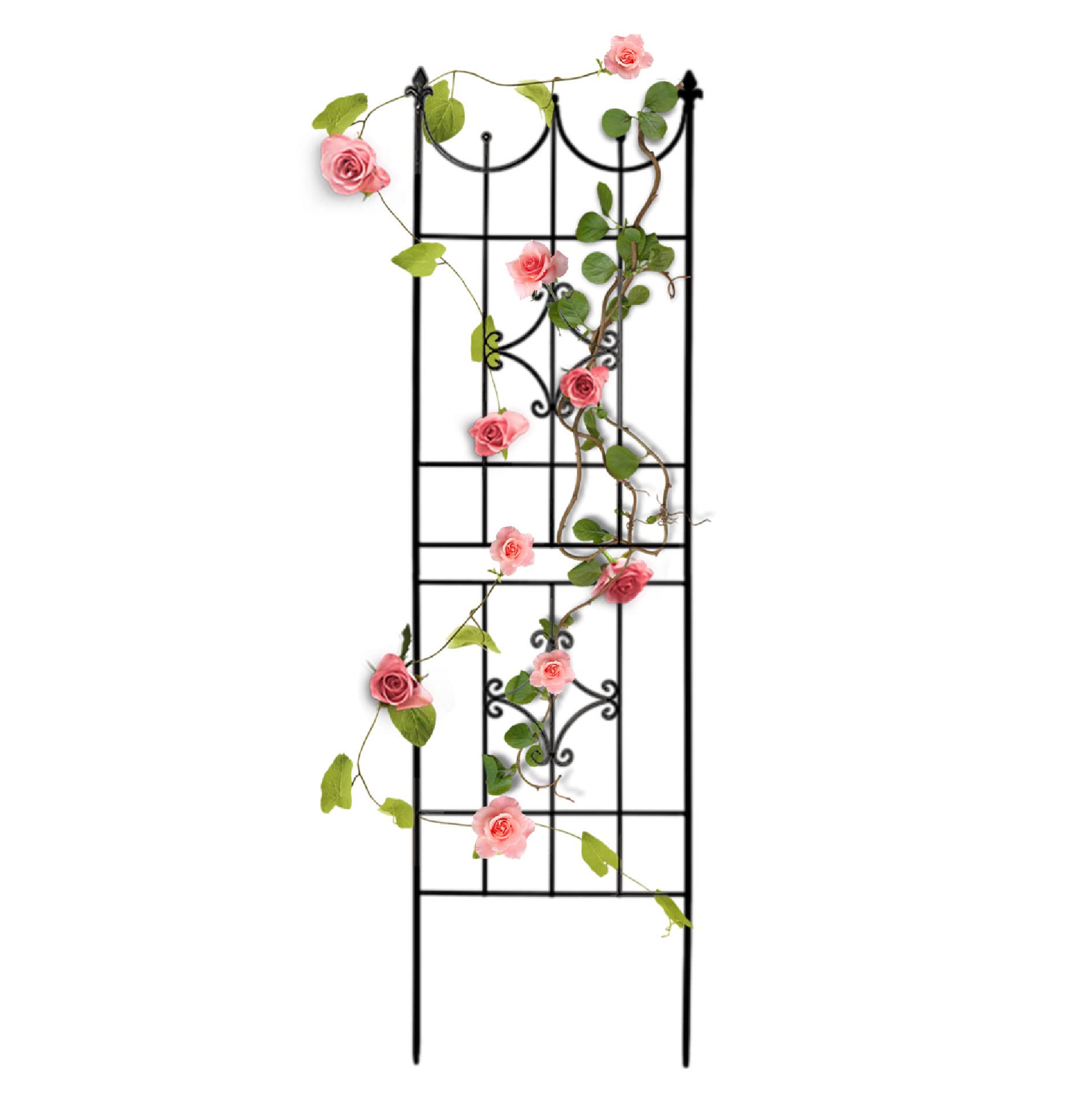 SCENDOR Rustproof Metal Garden Trellis – 70" x 20" Climbing Plant Support
