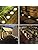 Bowfar Solar Ground Lights – 12 LED Waterproof Outdoor Pathway Lights, 12 Pack