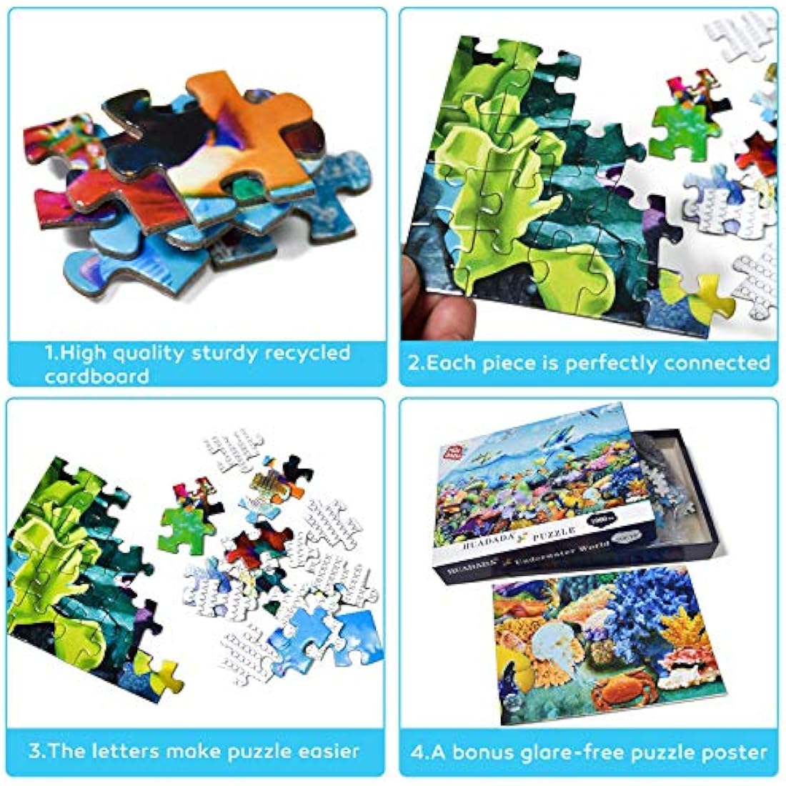 HUADADA Ocean World Jigsaw Puzzle for Adults | 1000 Piece Sea Coral