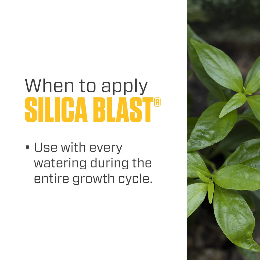 Botanicare Silica Blast Plant Supplement - 0-0-0.5 Hydroponic Nutrients, 1 qt