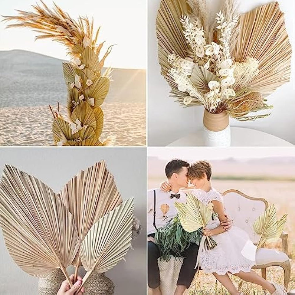 Jolof Store Natural Dried Palm Leaves – 5Pcs Large Boho Wedding Decor