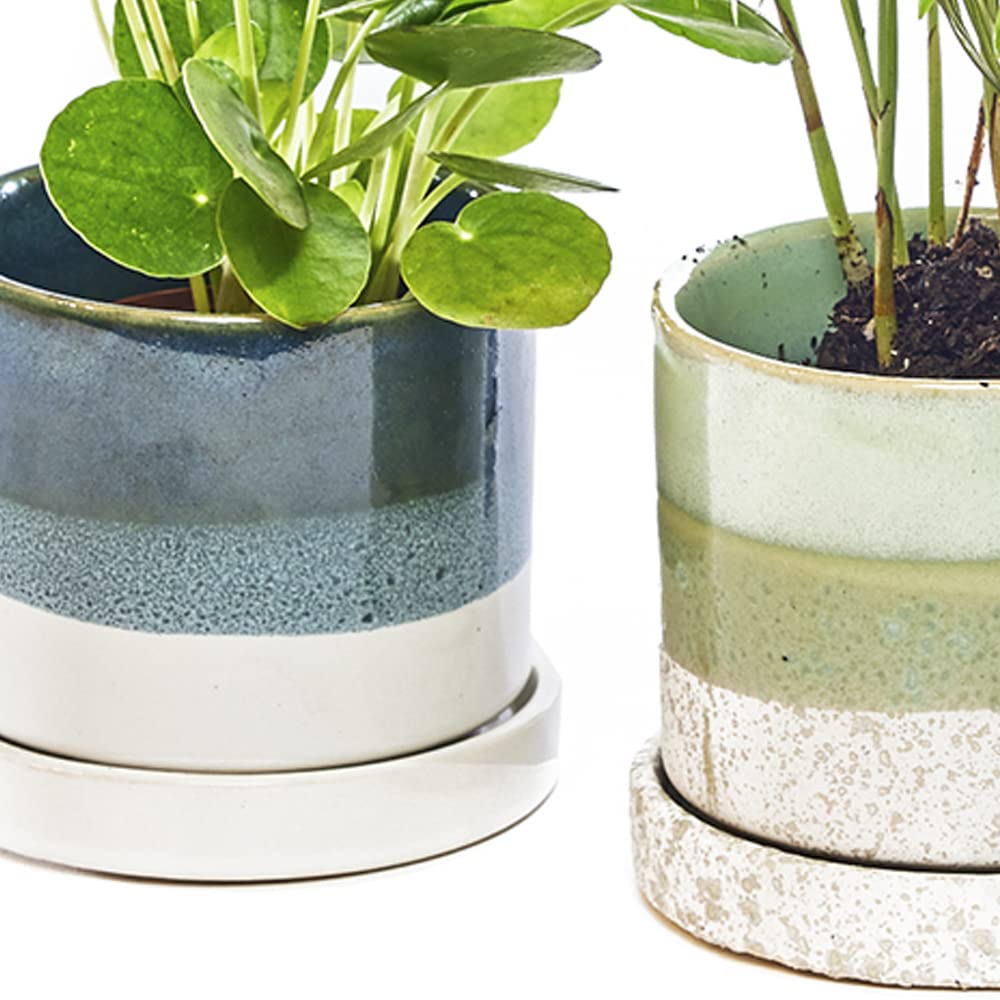 Chive Minute Ceramic Succulent Pots with Drainage - Set of 3 Blue & Green