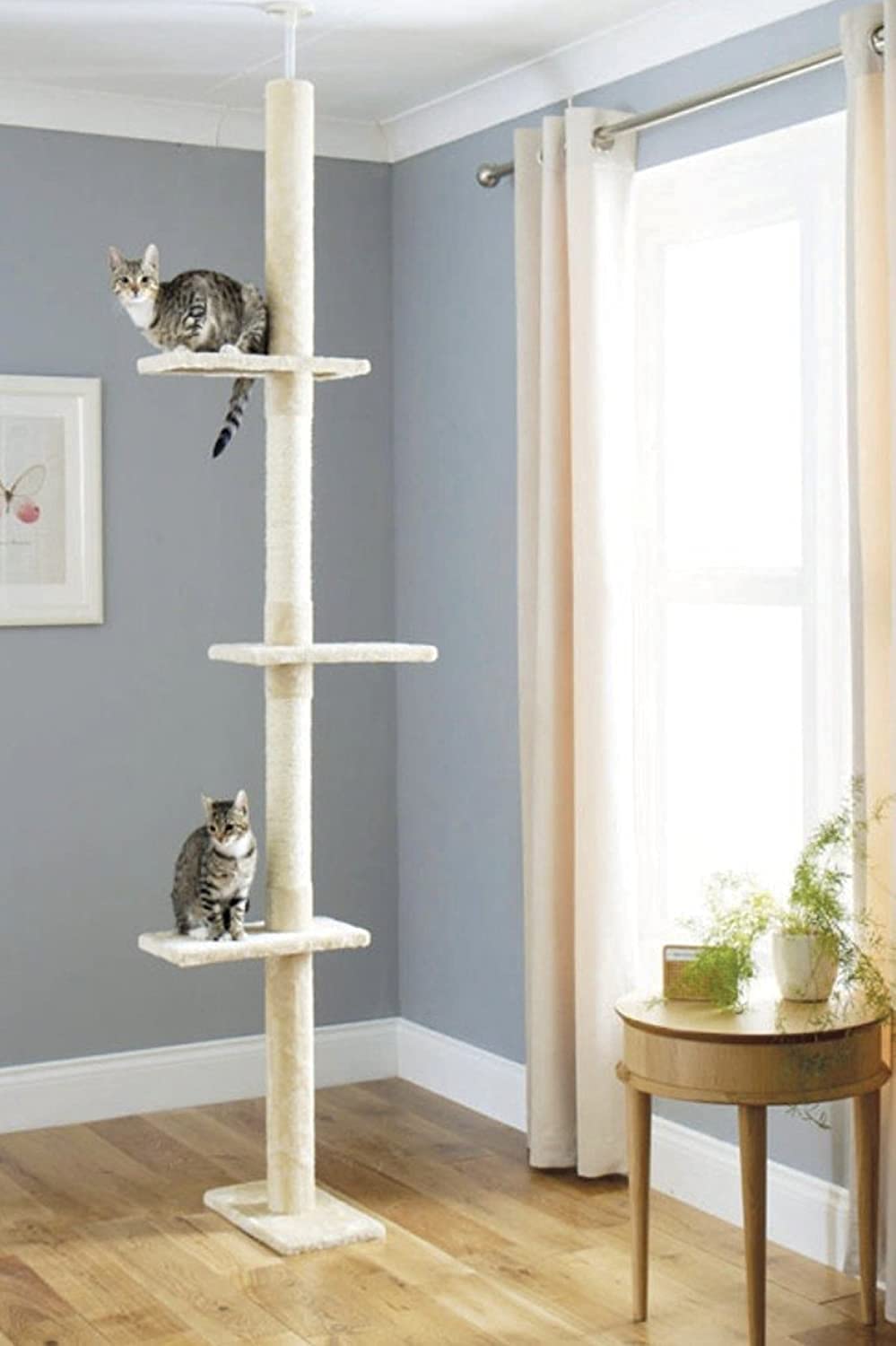 CA&T Floor to Ceiling Cat Tree – Height Adjustable Plush Climbing Tower