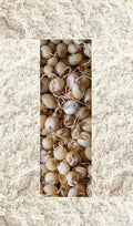 Organic Sprouted Jowar Flour – Sprouted Sorghum, 1kg