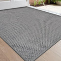 DEXI Indoor Door Mat – 61x92cm Non-Slip Dirt Trapper Entrance Rug