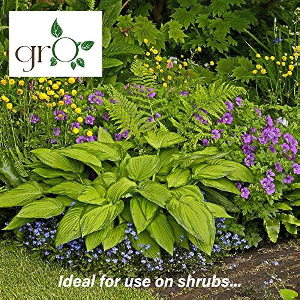 The Gro Company Organic Top Soil Fertiliser | 100% Chemical Free Feed