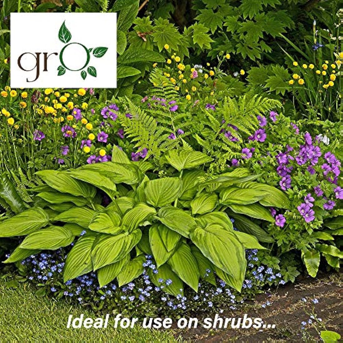 The Gro Company Organic Top Soil Fertiliser | 100% Chemical Free Feed