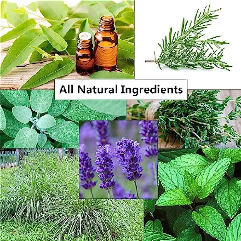 Jolof Store Natural Insect & Bug Repellent Spray – Makes 6L Concentrated Formula