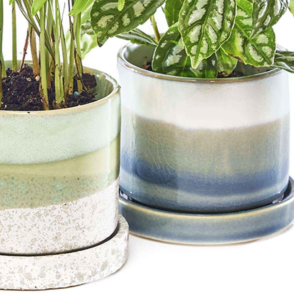 Chive Minute Ceramic Succulent Pots with Drainage - Set of 3 Blue & Green