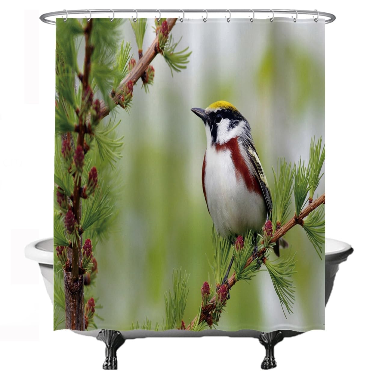 Ulticool Bird on Branch Shower Curtain | 180x200cm Anti-Mould Green