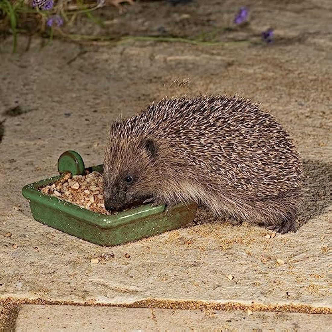 Jacobi Jayne I Love Hedgehogs Semi-Moist Food - 2kg Nutritious Mix