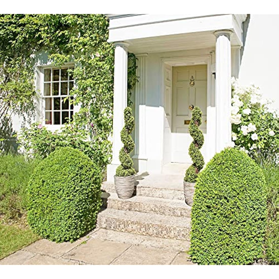 4ft Artificial Spiral Boxwood Topiary Trees - UV Protected (Pair)