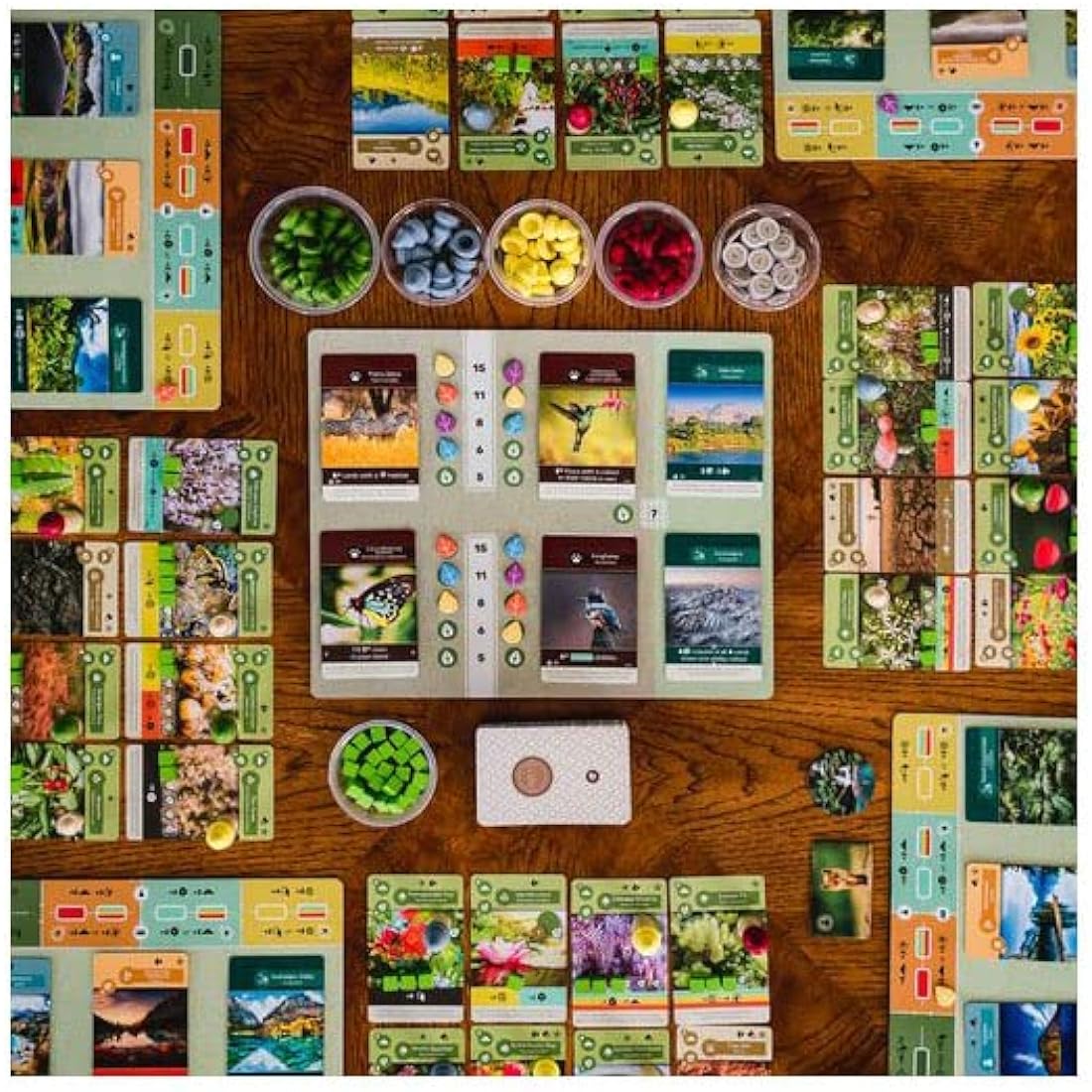 Earth Board Game by Inside Up Games – Nature Strategy Engine Builder