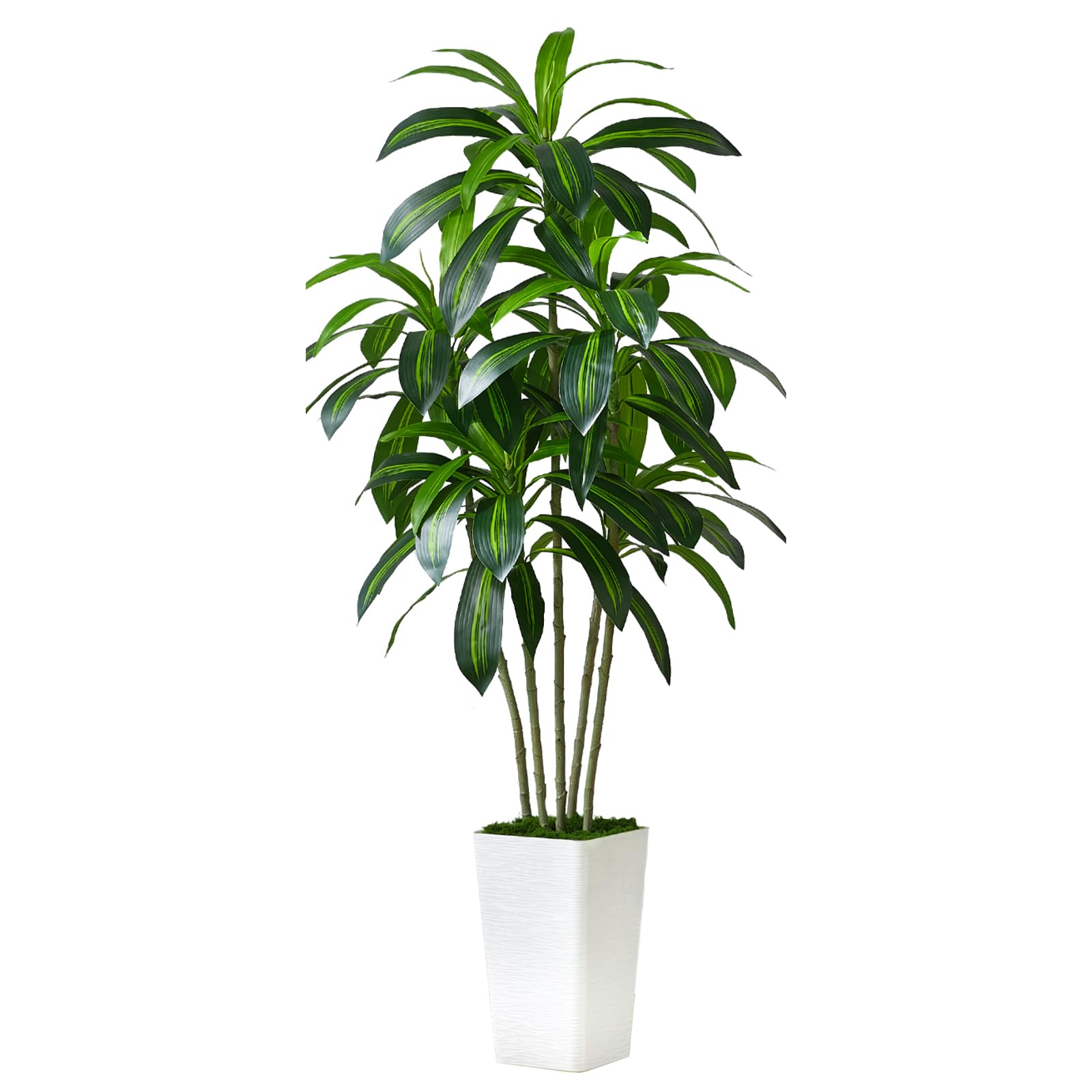 Jolof Store 5FT Artificial Dracaena Tree with White Tall Planter